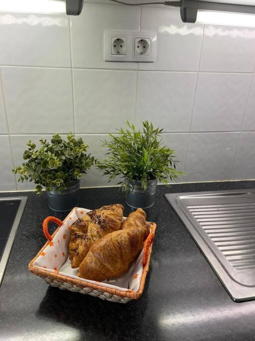 Puskas Apartman Costa De Antigua Exteriör bild